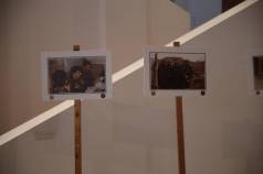 Mini IMG 1446
